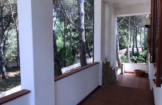 Villa La Maddalena in La Maddalena - Photo 19