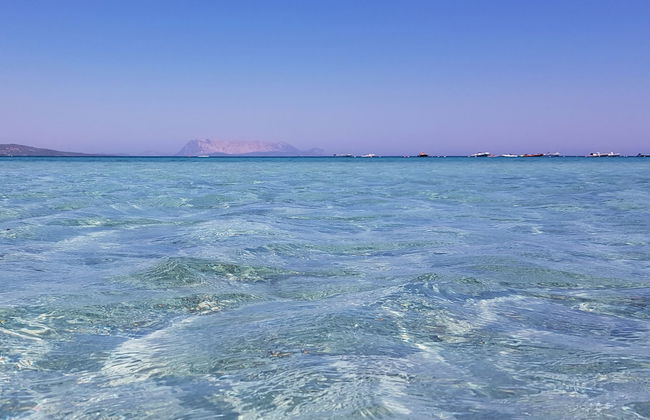 Panorama 7 - Foto 24