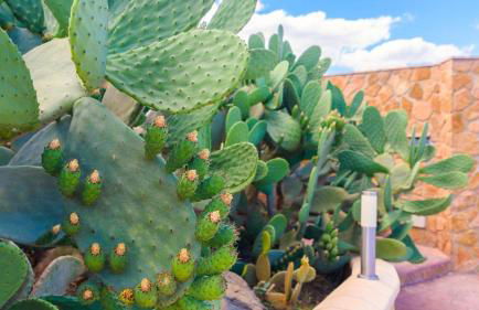 Casa Rural Tajo de Gómer Riogordo by Ruralidays - Foto 47