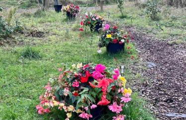 Wooden tiny house Glamping cabin with hot tub 1 - Photo 21