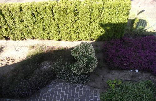 Lindensweet - Photo 7