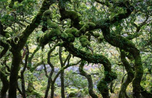 Swan Landing - Photo 28