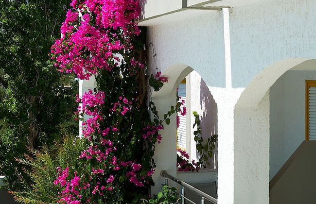 Apollon Hotel Apartments - Foto 68