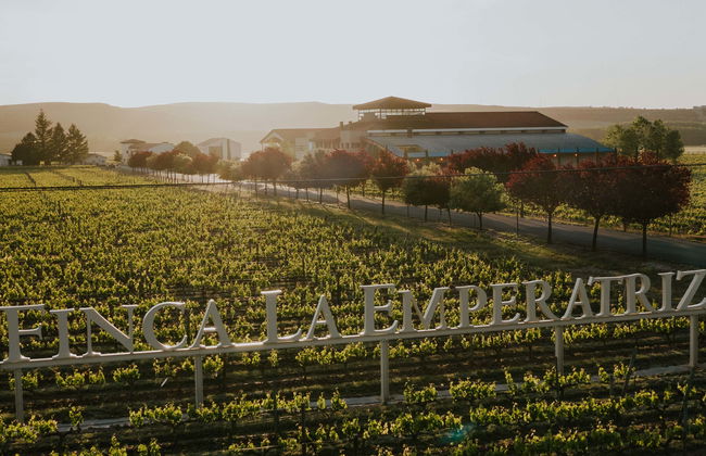 Visita ao vinhedo da Finca La Emperatriz - Foto 1