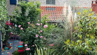 Au Cœur des Vignes - Foto 2, Garden