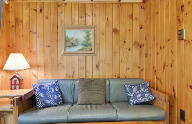 Cozy Lake Cabin 3 with Boatdock - Photo 16