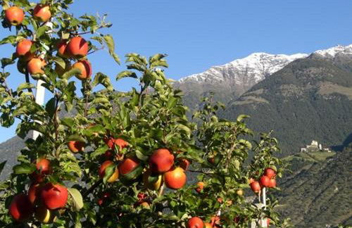 Heiligenhof - Photo 22