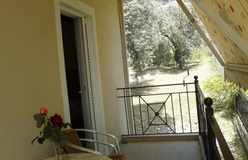 Lihas Studios - Photo 8