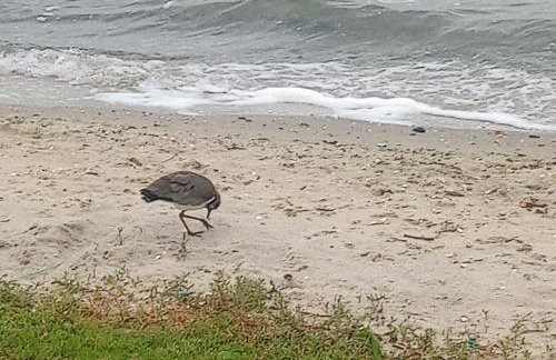 Recanto Privativo Suítes Brisas de Araruama - Região dos Lagos - Photo 20