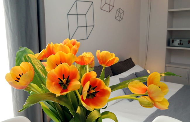 Propaganda Suites - Foto 7