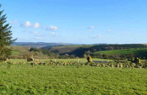 3 Bed in Llanllwni 91447 - Foto 29