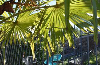 Apartment Monte e Lago - Foto 4