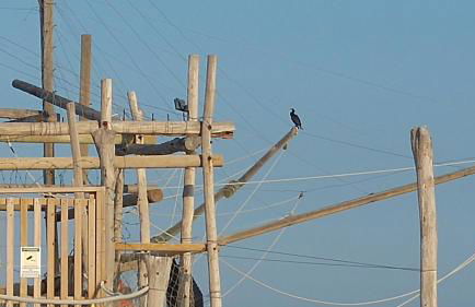 Relais Il Giardino fra gli Ulivi - Foto 64