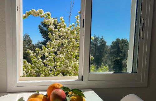 Refugio verde con encanto - Foto 10