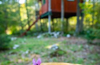 Šajnska Hiža, autentična goranska kuća u prirodi - Foto 25