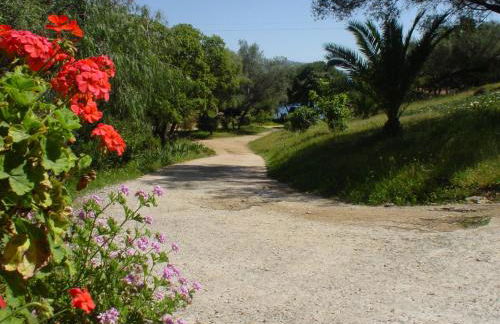 Résidence Les Mandiles - Foto 43