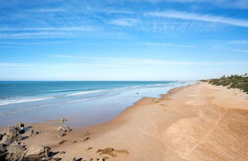 El Mirlito - Photo 14