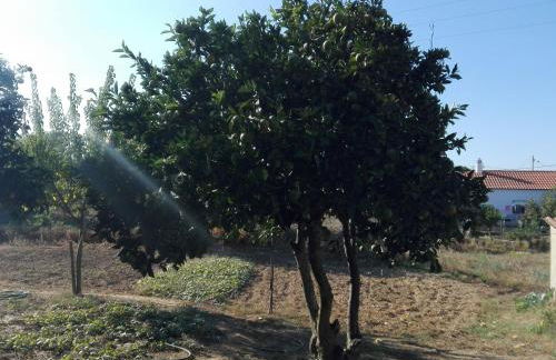 Casa do Chaparral campo e praia - Foto 39