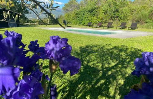 Mazet avec piscine, vue Ventoux - Foto 4