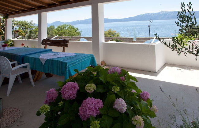 Apartments Toplak - Foto 35