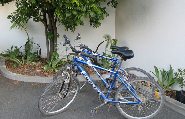 Beaches Nelson - Foto 17