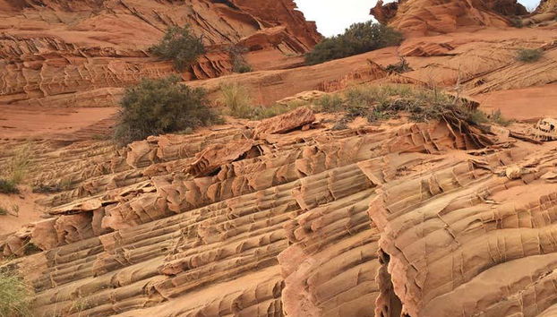 Formations rocheuses de Buckskin Gulch