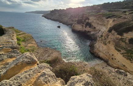 Casa Vacanza GLI ULIVI - Foto 15