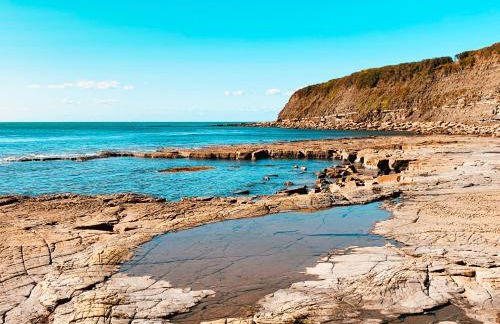 The Lookout - Photo 16