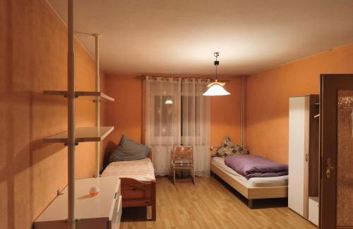 Casa Alex Trub - Foto 10