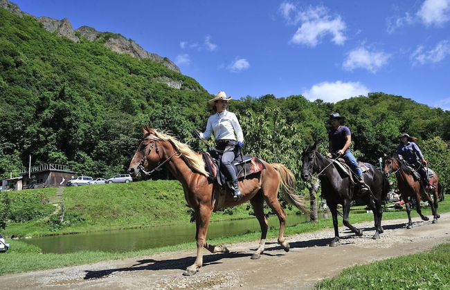 PRIMAL 2002 - Photo 66