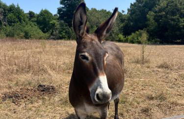 Villa avec piscine privée - Foto 11