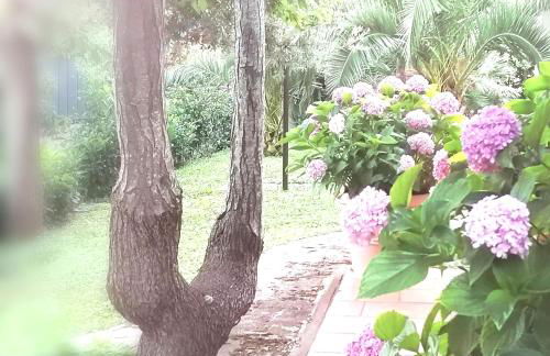 Casa Marisa Villa Vacanza - Foto 54