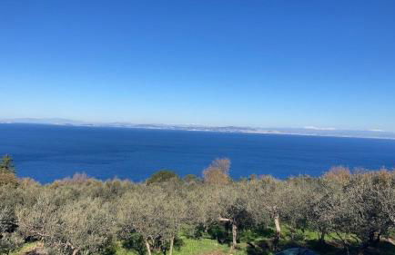 “CapriOleum” esclusive place - Foto 34