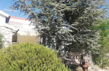 Lavender House - Photo 32