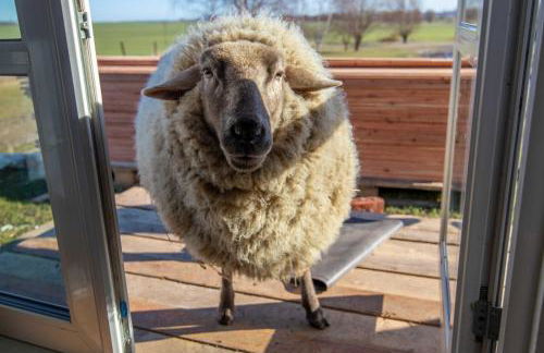 Tiny House Hygge - Foto 23