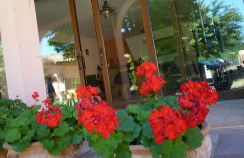 Tadinum Romana - Foto 53