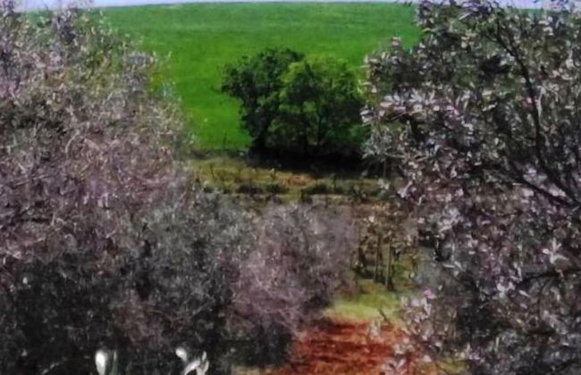 Il Cantiniere - Foto 42