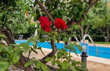 Villa con fascino antico e comfort moderno - Foto 48