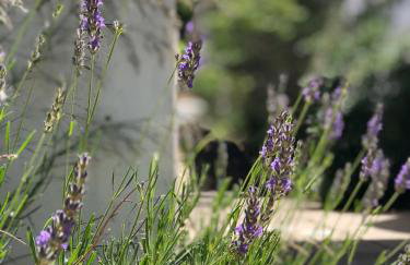 Apartment Magic - Photo 21