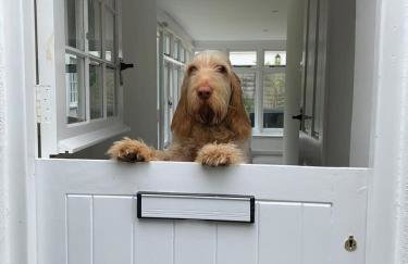 Little Buckley A peaceful family & dog-friendly retreat near Sidmouth - Foto 10