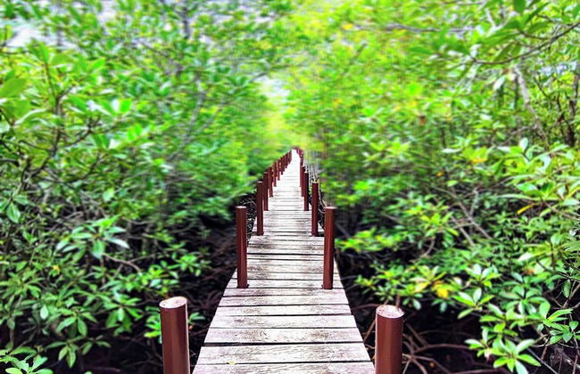 Rose Apartments - Foto 38