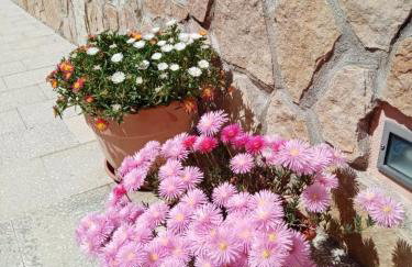 Casa De Grazia - Foto 11