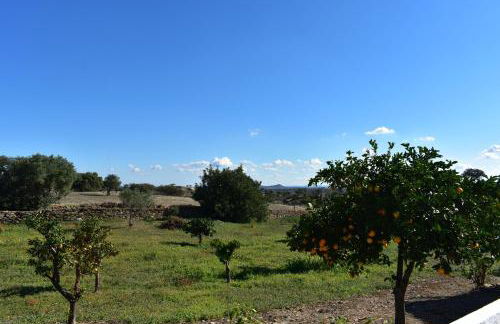 Casa da Cerca - Foto 60