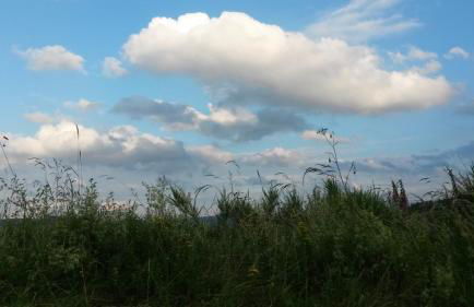 Ferienwohnung Sauerland Fernblick - Foto 35