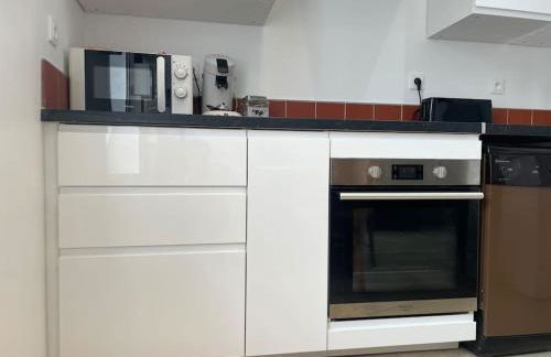 Maison Le grand sapin , 5min du zoo parc de Beauval - Foto 13