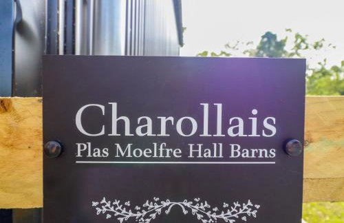 Charollais - Foto 3