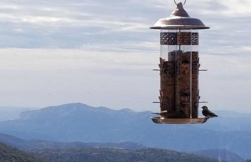 A LIVING CANVAS Amazing Lake View Custom Home - Foto 31