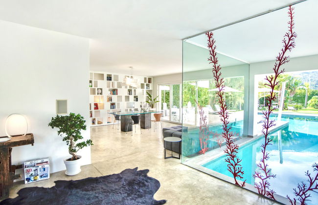 Re di Denari - Foto 3