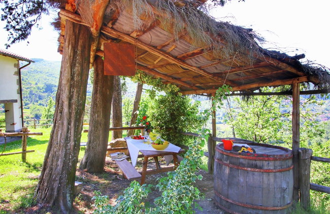 Charming Tuscan Farmhouse - Photo 44