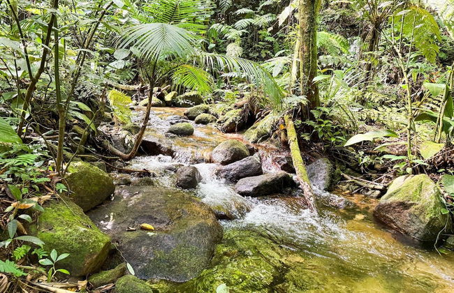 Casa Sol&Mar - Foto 38